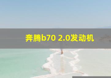 奔腾b70 2.0发动机